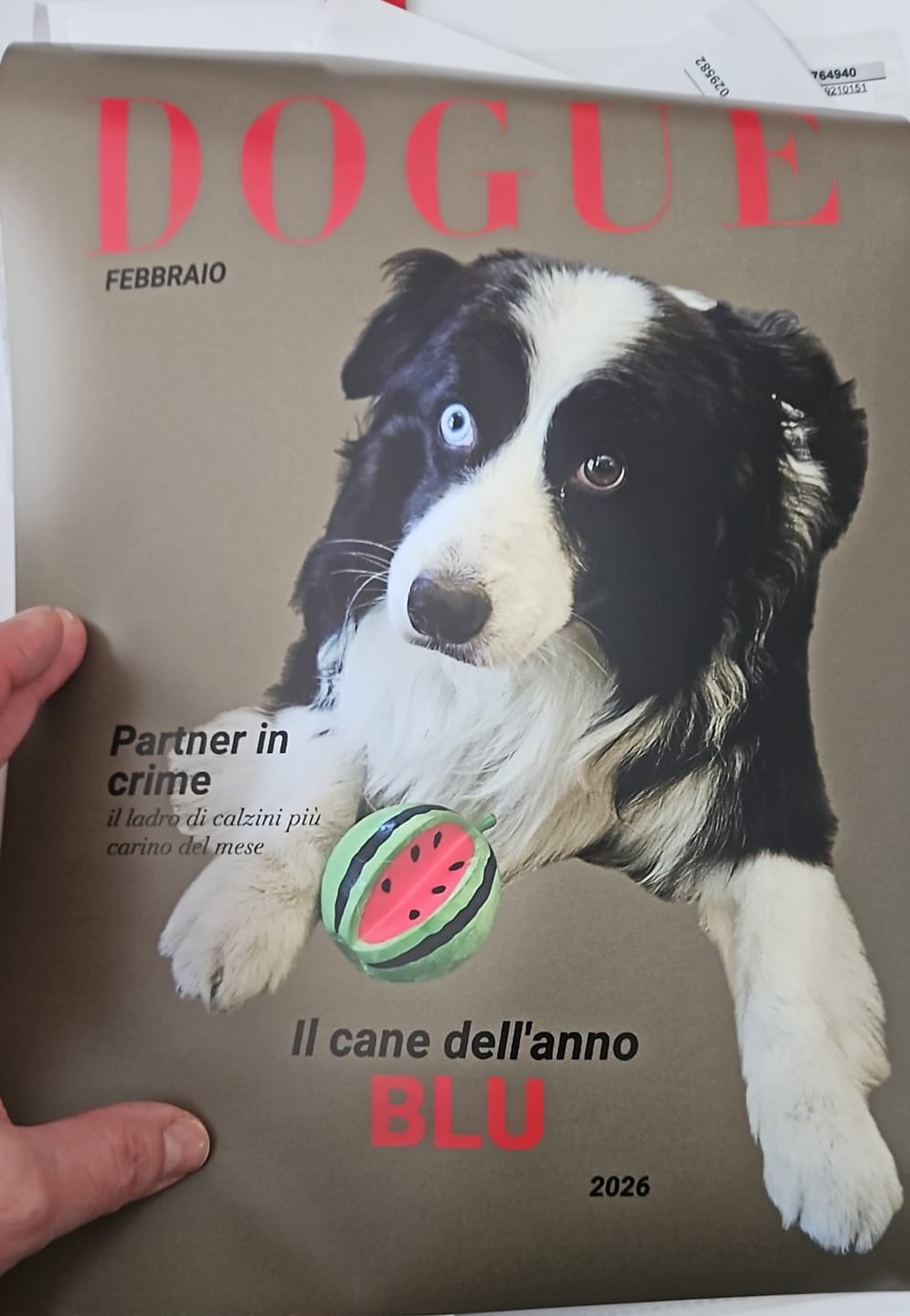Customer photo review of Dogue - Poster personalizzato