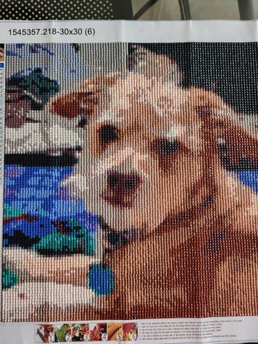 Customer photo review of Made with Diamonds® Custom Kit