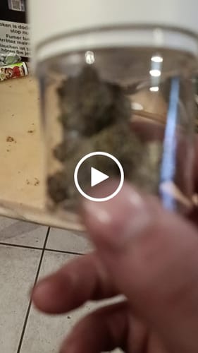 Customer video review of CALI MIX AAA+ – Premium Selection