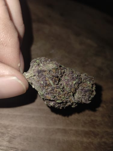 Customer photo review of Granddaddy Purple - 28 Grams - Indica