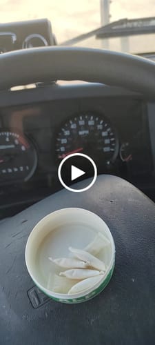 Customer video review of Tropical Fruit Nicotine Pouches