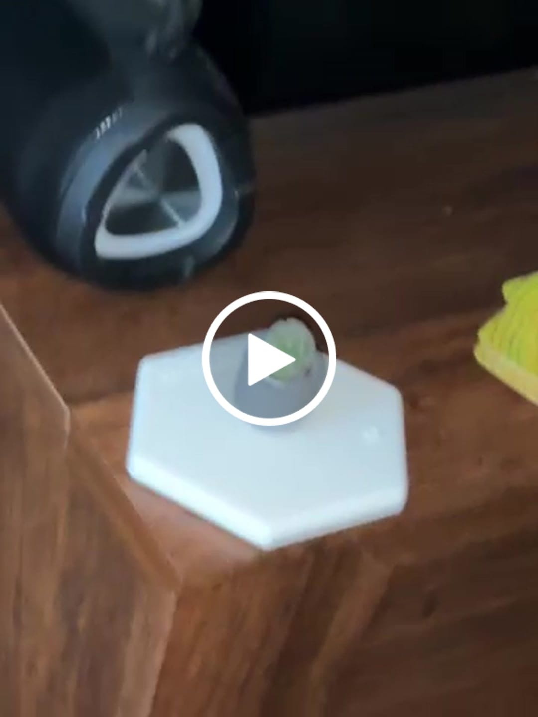 Customer video review of Thimble Cactus