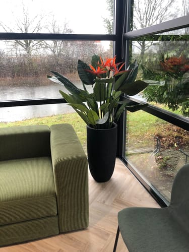 Customer photo review of Strelitzia Kunstplant 120cm met bloem