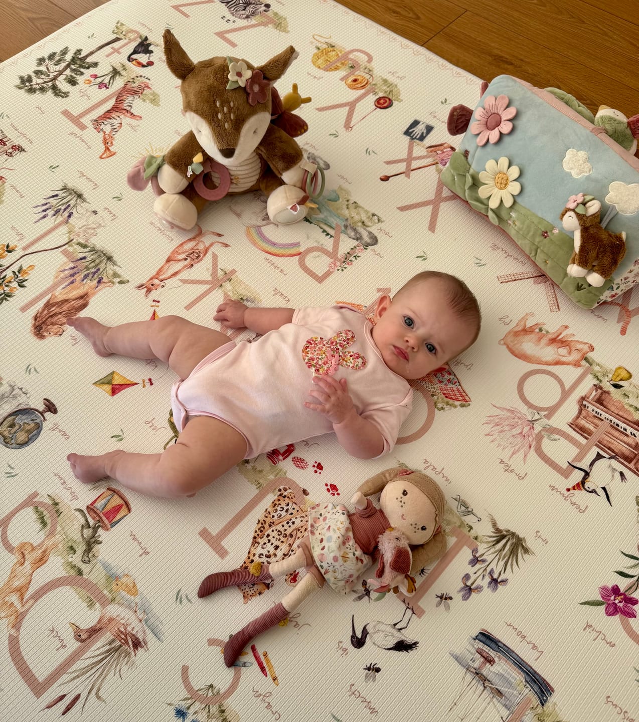Customer photo review of Storybook Blush / Heirloom