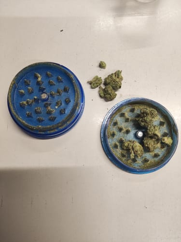 A reviewer's CALI MIX AAA+ buds placed inside an open blue herb grinder, ready for use.