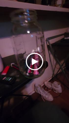 Customer video review of POWDERED DONUT BIRTHDAY CAKE