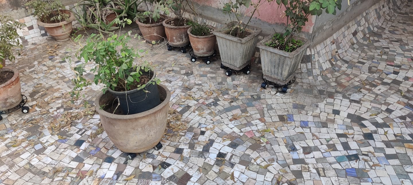 Customer photo review of TryGreen Fyra Wheel Rolling Plant Stand for Planters