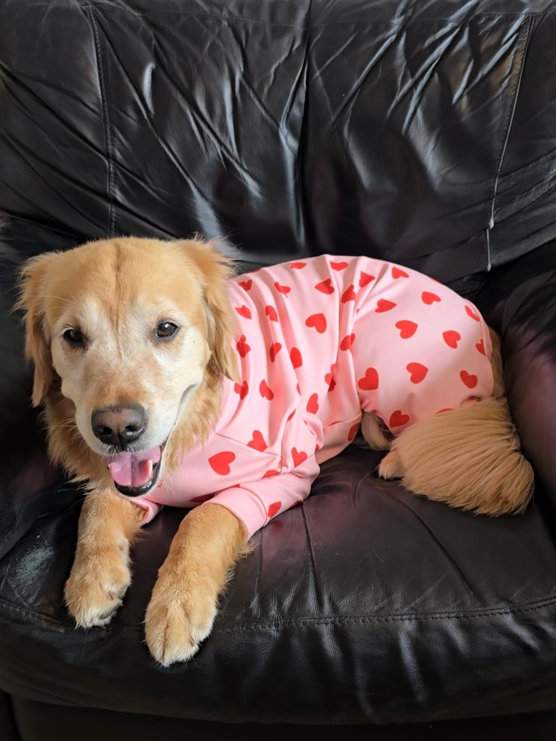 Customer photo review of Dog Pajama - Pink Hearts