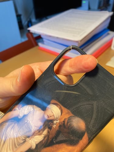 Customer photo review of The Execution of Lady Jane Grey | Paul Delaroche | 1833