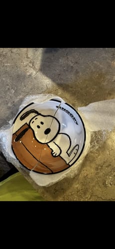Customer's broken Peanuts Snoopy Ceramic Bowl, cracked in half inside its packaging.