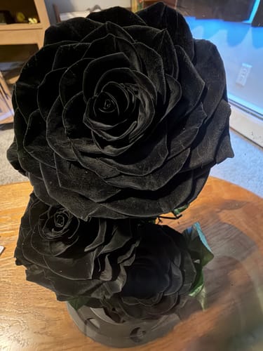 Customer photo review of Preserved Natural Rose In Glass