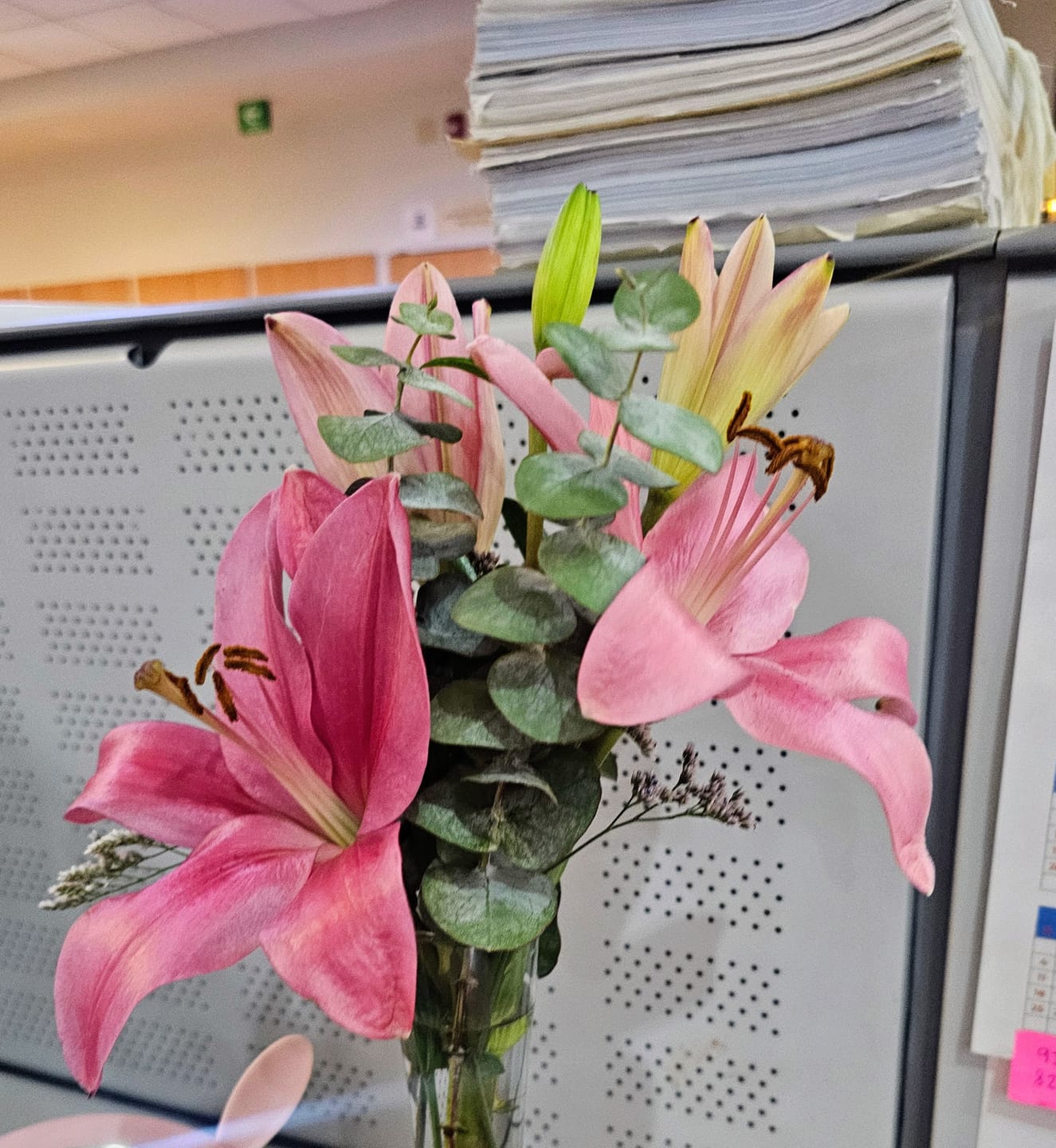 Customer photo review of Brisa de Mar - 1 Lilium Rosa en Violetero.