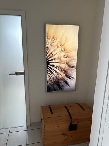Customer photo review of Leuchtbild Acrylglas Canvalight® DIA | Pusteblume | Hochformat