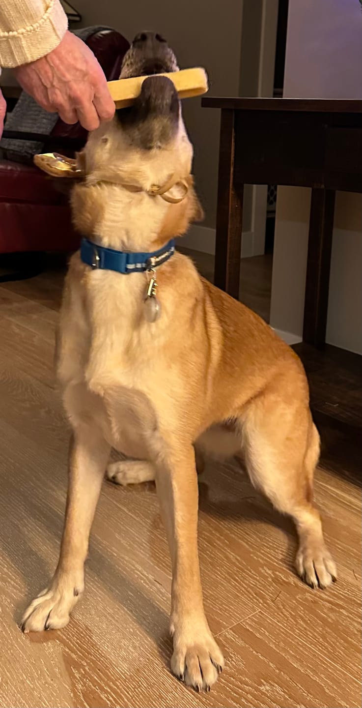 Customer photo review of Himalayan Yak Chew (LARGE)