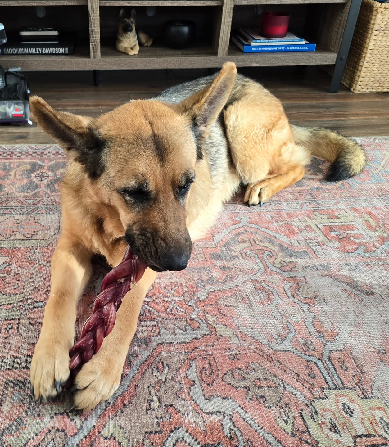 Customer photo review of Himalayan Yak Chew (MEGA)