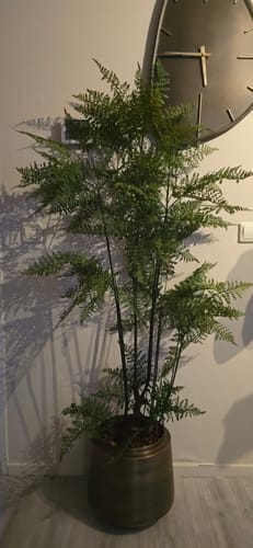 Customer photo review of Kunst Ledervaren 150cm