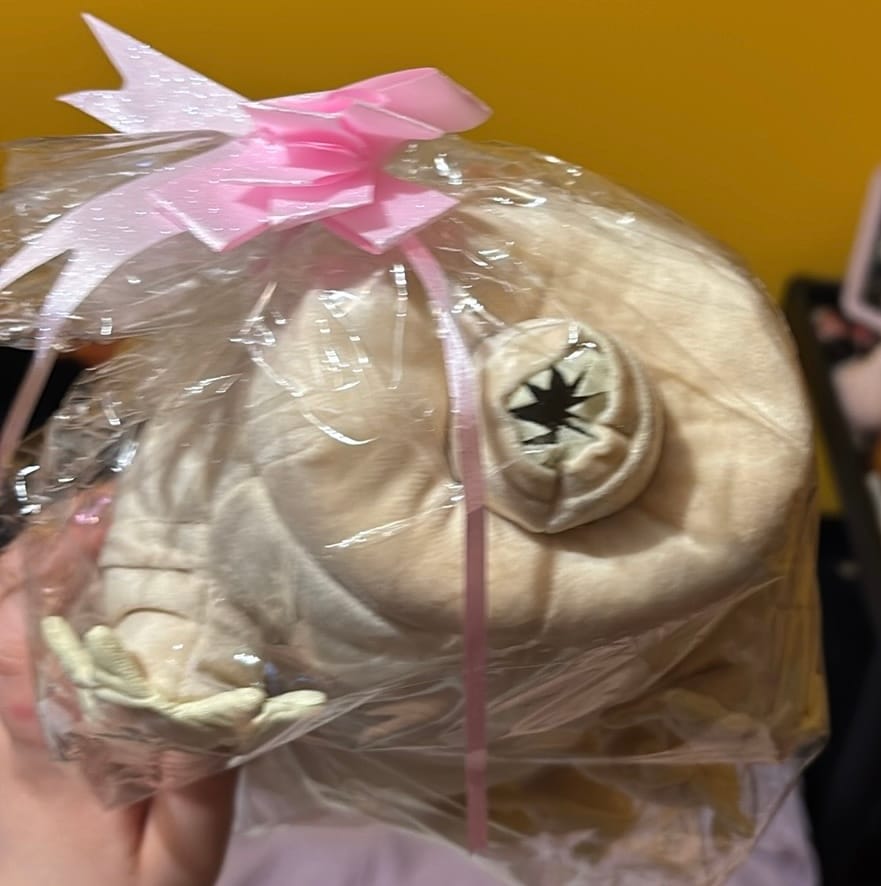 Customer photo review of Tardigrade Water Bear Soft Stuffed Plush Toy