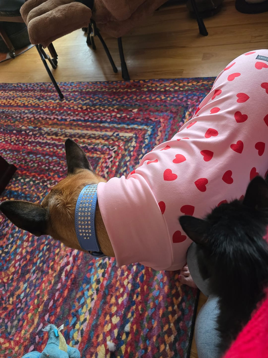 Customer photo review of Dog Pajama - Pink Hearts