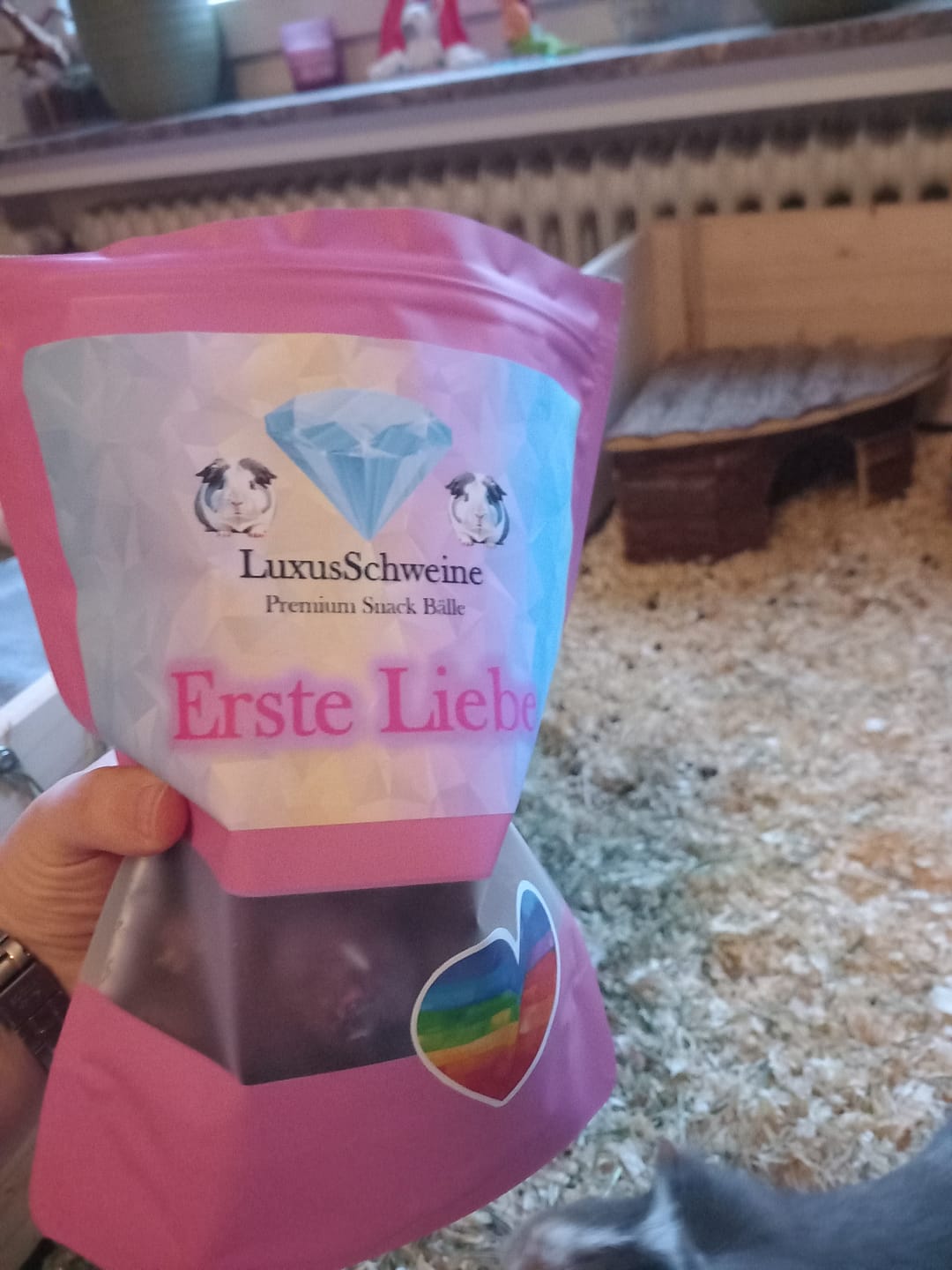 Customer photo review of 💘 Erste Liebe – Premium Bälle für deine Meerschweinchen
