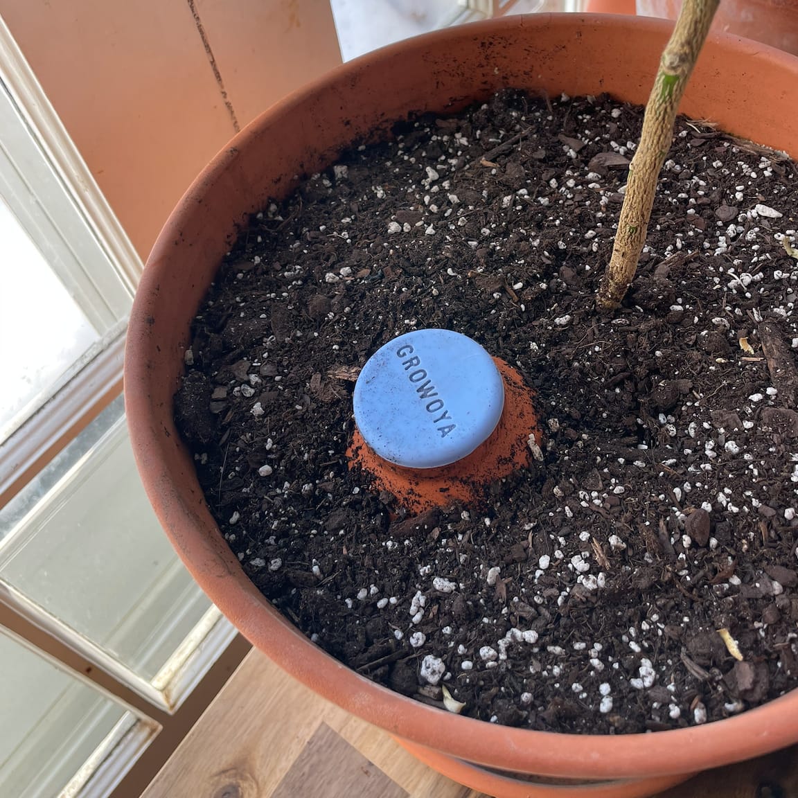 Customer photo review of Oya™ Watering Spike