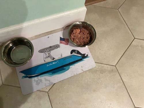 Reviewer's custom pet placemat with a boat graphic, set on a floor with two pet bowls.