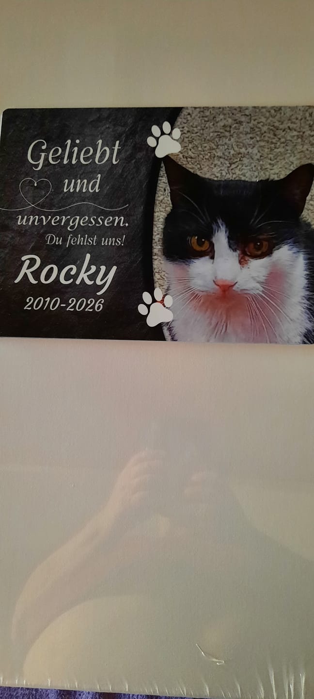 Customer photo review of Katzen Gedenktafel mit Foto & Spruch (UV- & Wetterfest)