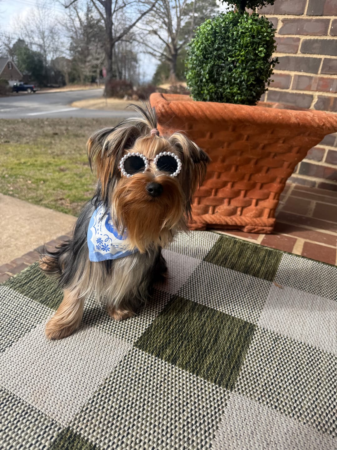 Customer photo review of Matisse Bandana