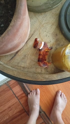 Reseña con foto de un cliente sobre Pinche Perrito