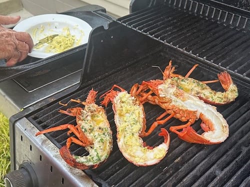 Customer photo review of Live NZ Red Crayfish