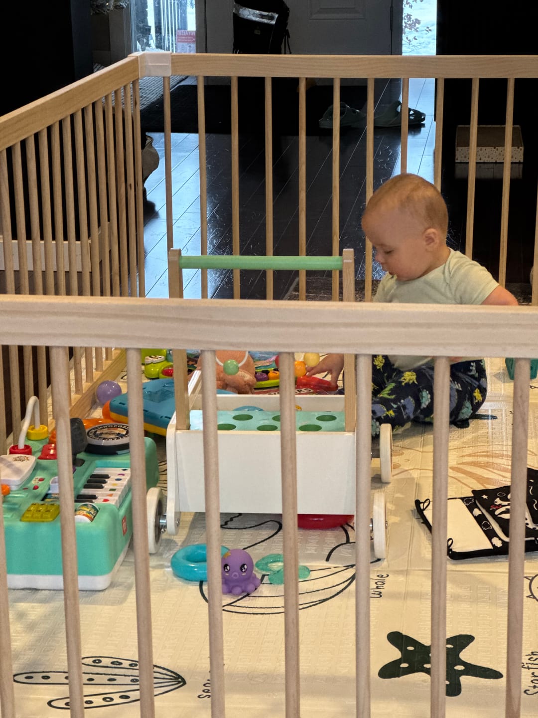Customer photo review of HARPPA Grovi | Baby Gate Playpen & Fence for Babies and Toddlers