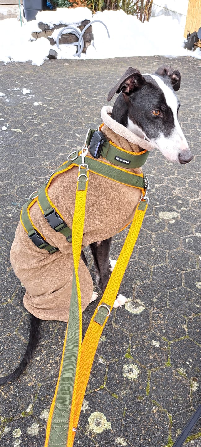 Customer photo review of Sicherheitsgeschirr FUN "Hunter O'Green"