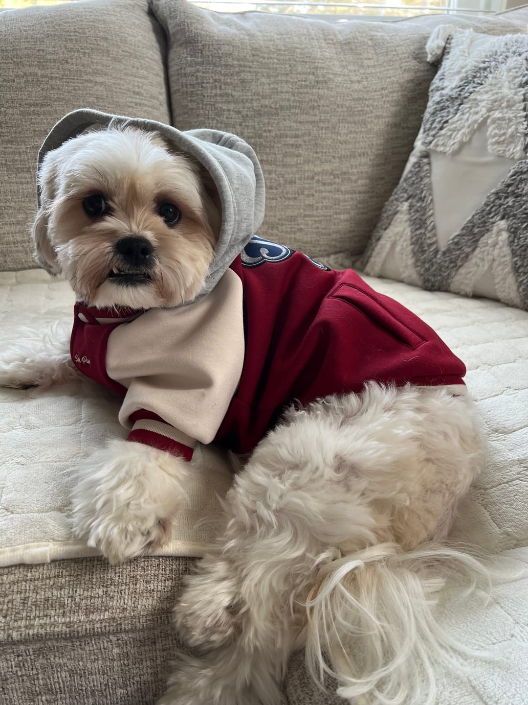 Customer photo review of Dog Varsity Jackets