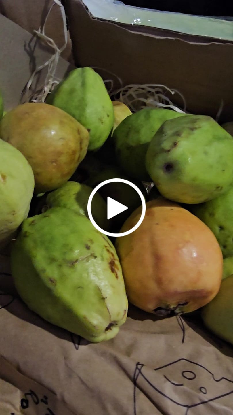 Customer video review of Guave rot naturbelassen von Julian