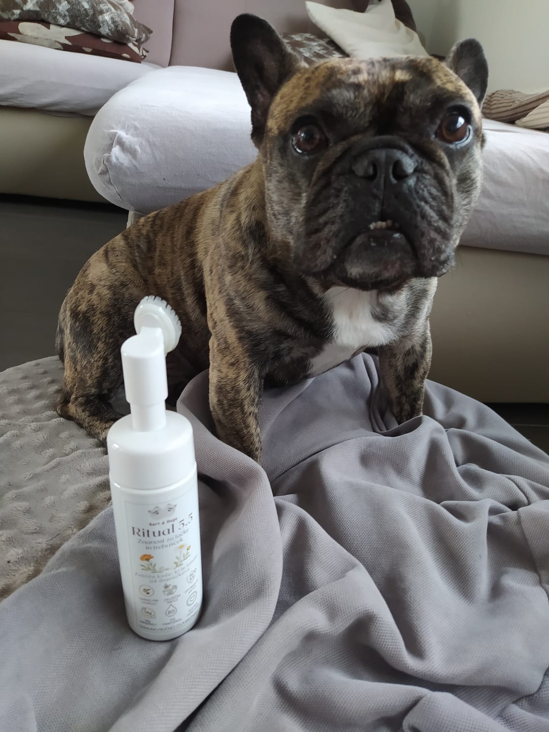 Customer photo review of Bert & Hugo Ritual 5.5 — Znanost za tačke in trebušček