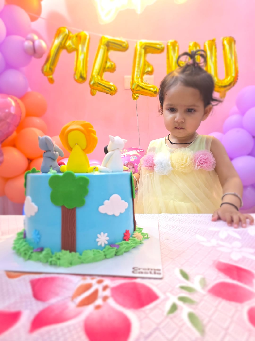 Customer photo review of Jungle Theme Cake for Kids