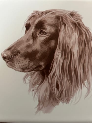 Customer photo review of Sepia Vintage Portret Tegeltje