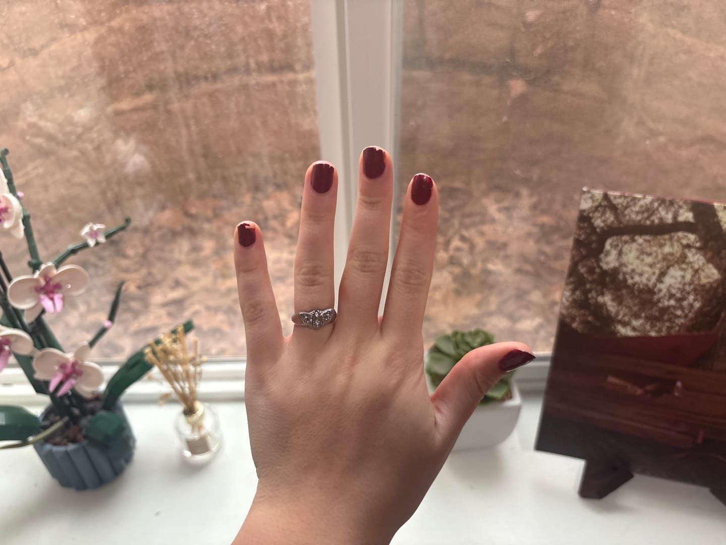 Customer photo review of MOTH RING