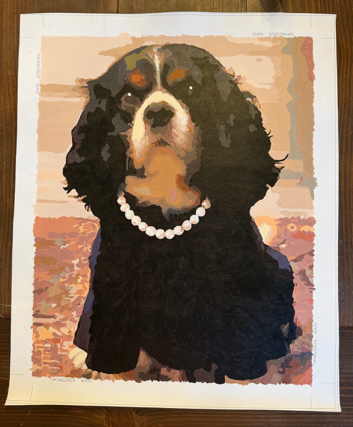 Customer photo review of Paint Your Own Photo