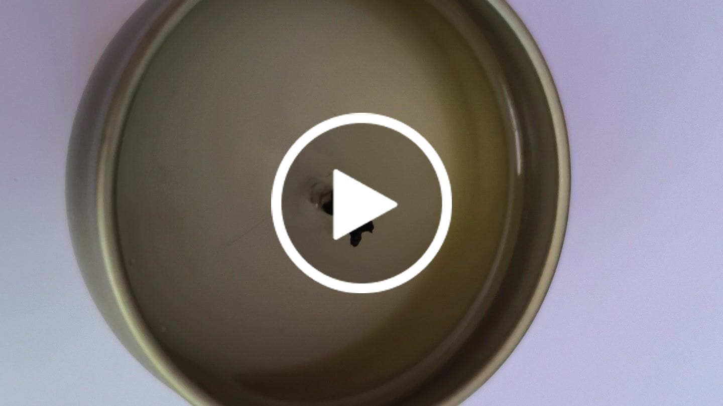 Customer video review of Fragancia MADERA SPICED