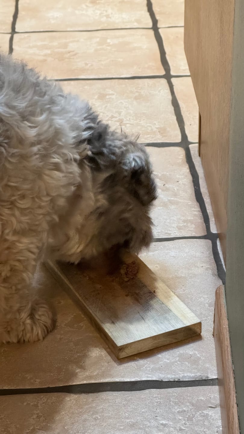 Customer photo review of Pâtées riches en volaille & aux petits pois (Chien âgé)