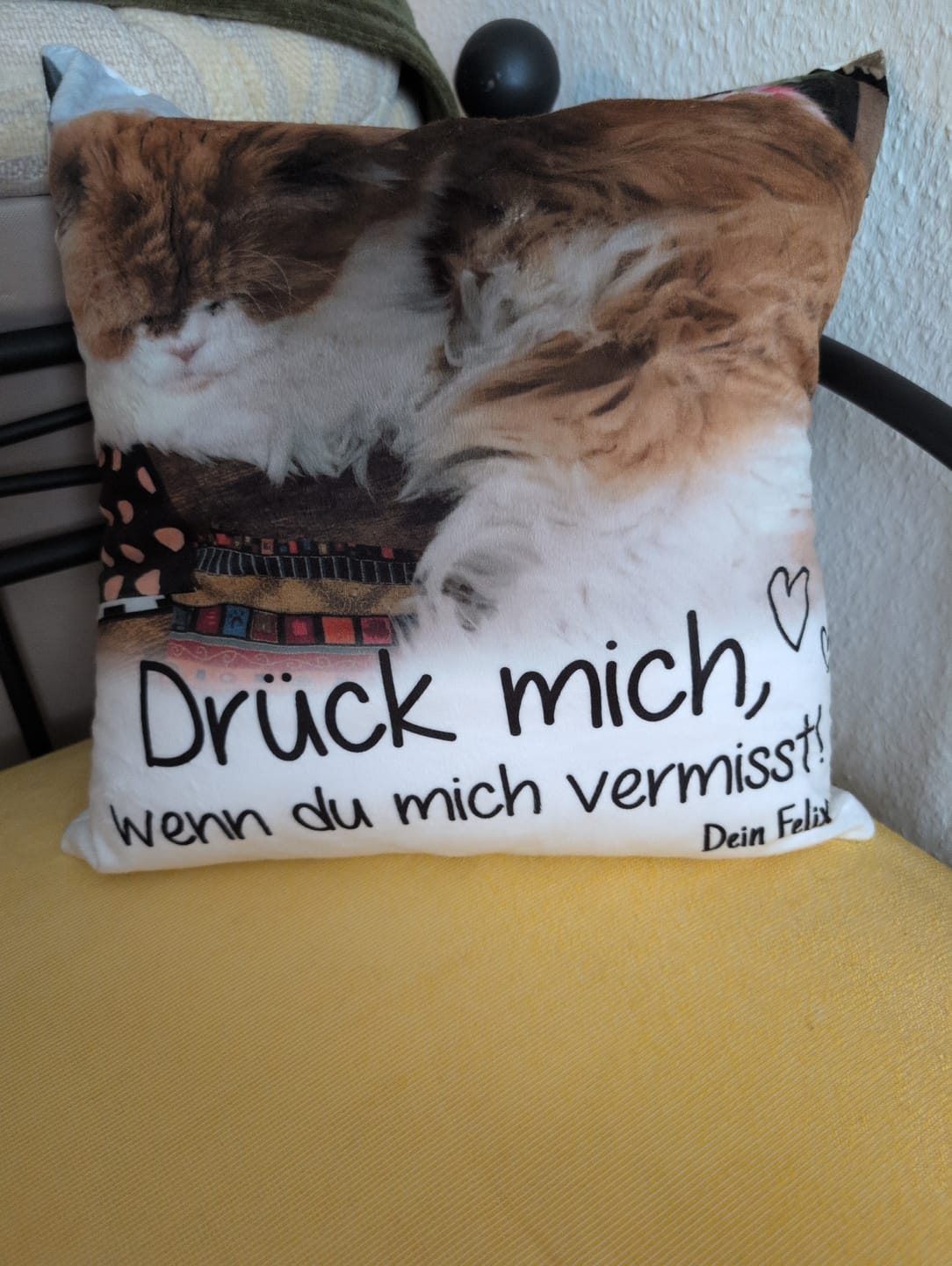 Customer photo review of Drück mich, wenn du mich vermisst - Individuelles Kissen