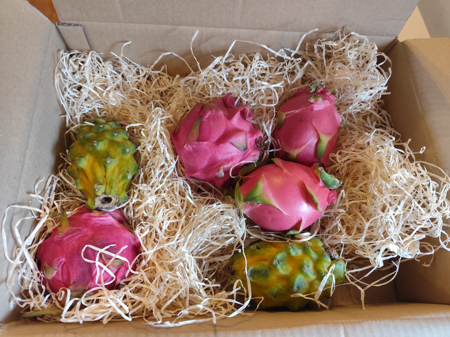 Customer photo review of Drachenfrüchte Trio Box Sonderaktion %