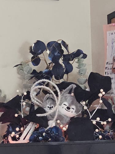 Customer photo review of SKZ dominATE : celebrATE Magnet Plush Set