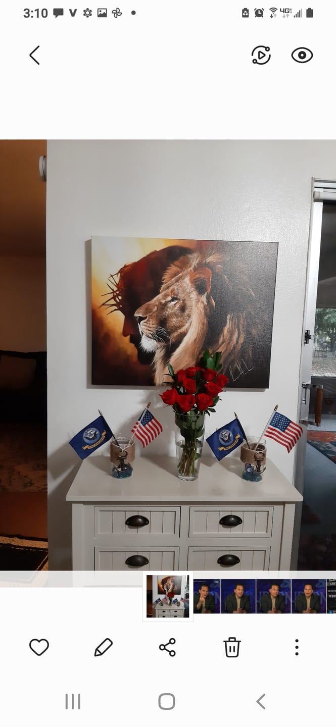 Customer photo review of The Lion of Judah