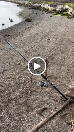 Customer video review of 12ft "Secret Weapon" Crab Snare/Surf No Excuses Travel Rod, 5-Piece Heavy Action