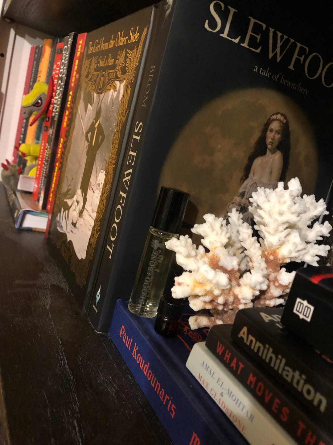 Customer photo review of Blood and Bone, with Old Gods of Appalachia