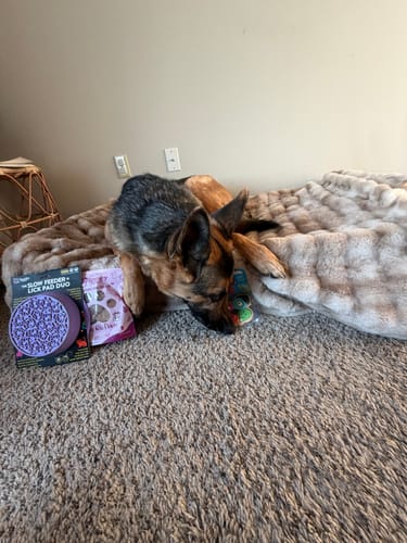 Customer photo review of Slow Feeder - Lick Pad Combo