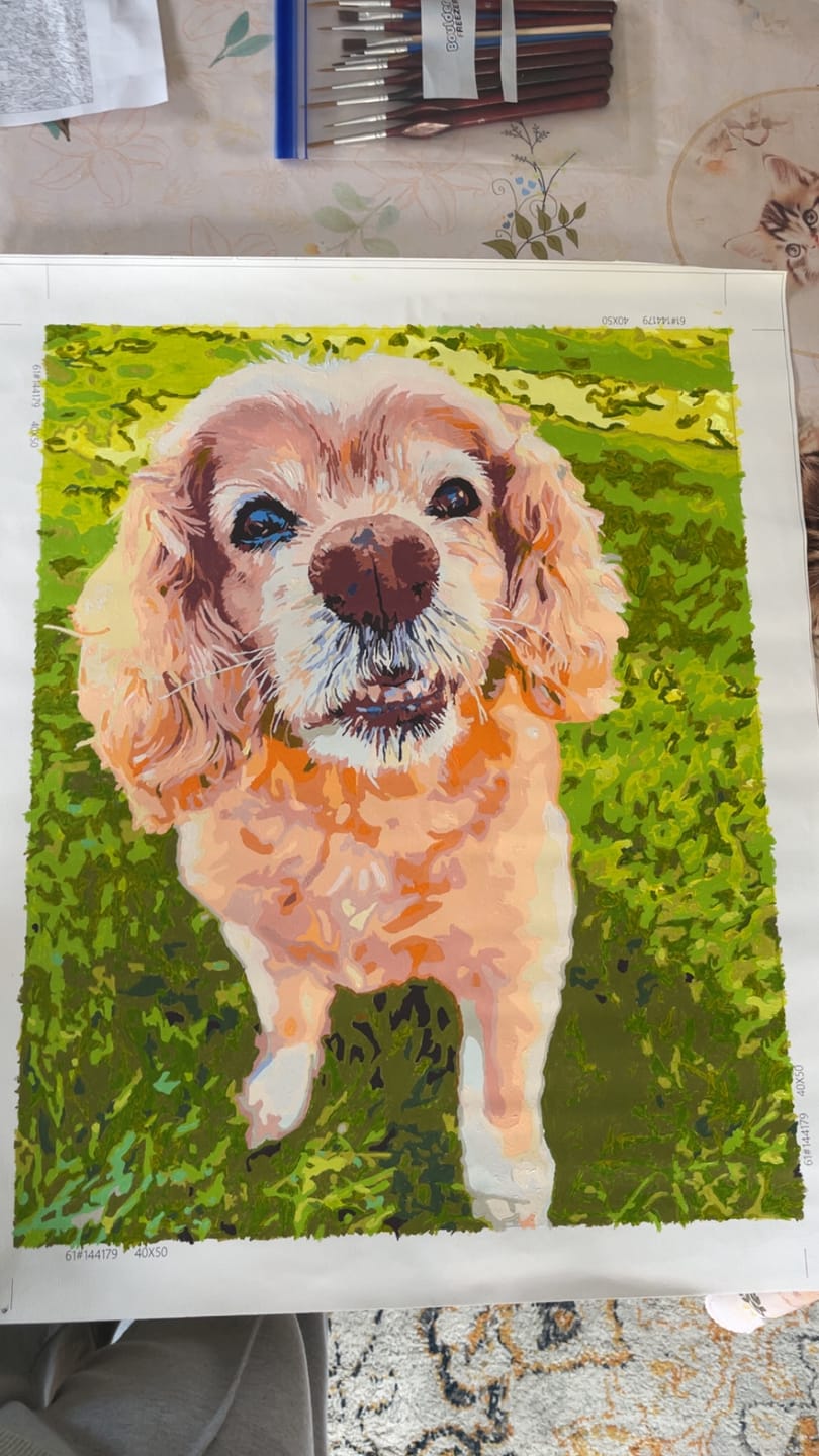 Customer photo review of Paint your own Photo - Custom Paint by Number