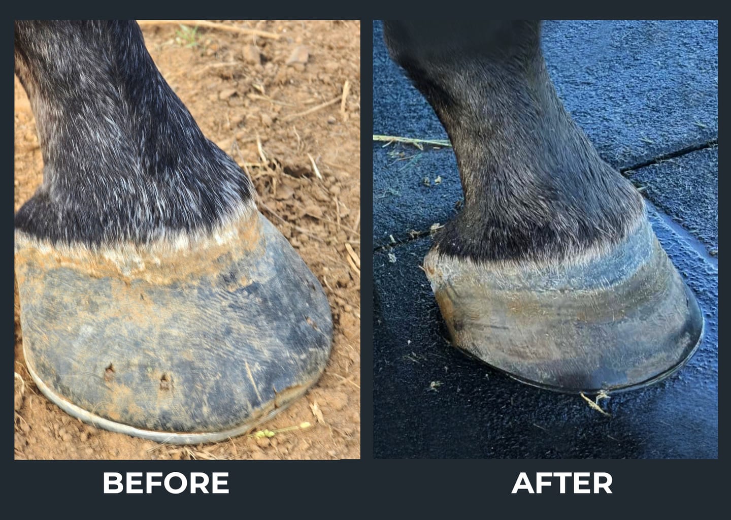 Customer photo review of Hoof Care Plus 5kg™️