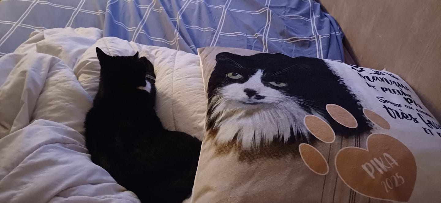Customer photo review of Si je te manque - Coussin personnalisé